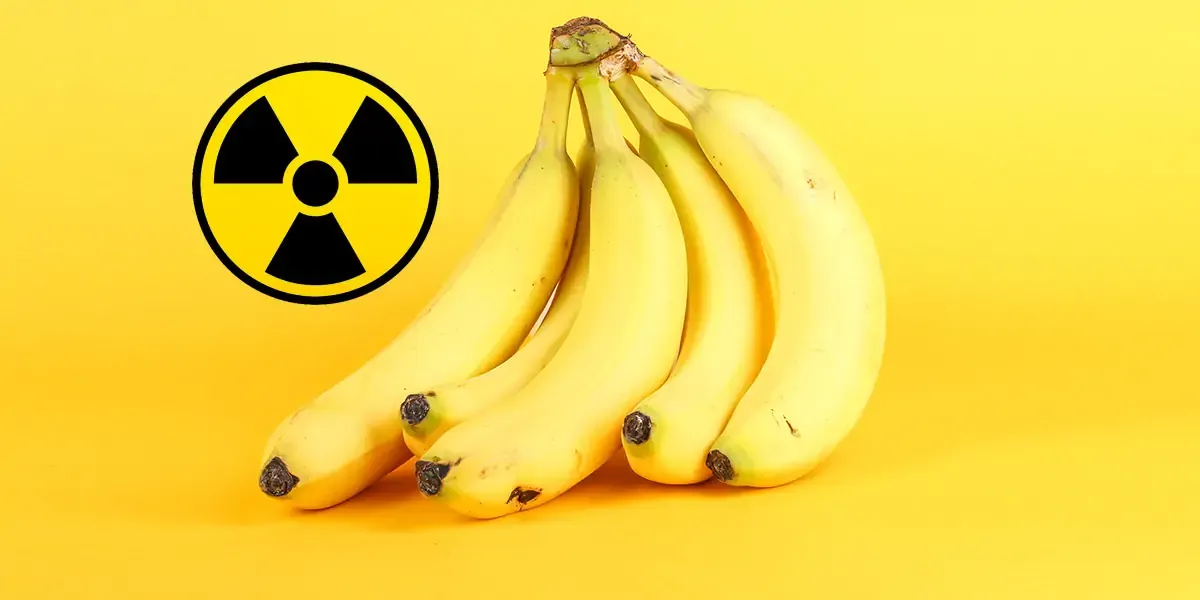 Bananas Are Radioactive – Here’s Why